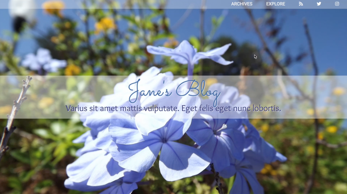 Custom WordPress theme with a parallax design